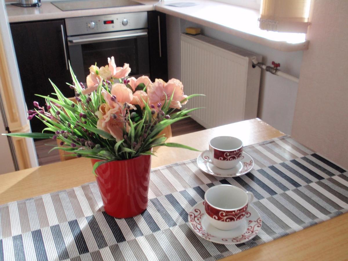 Central Cietoksna Street Apartment Daugavpils Dış mekan fotoğraf
