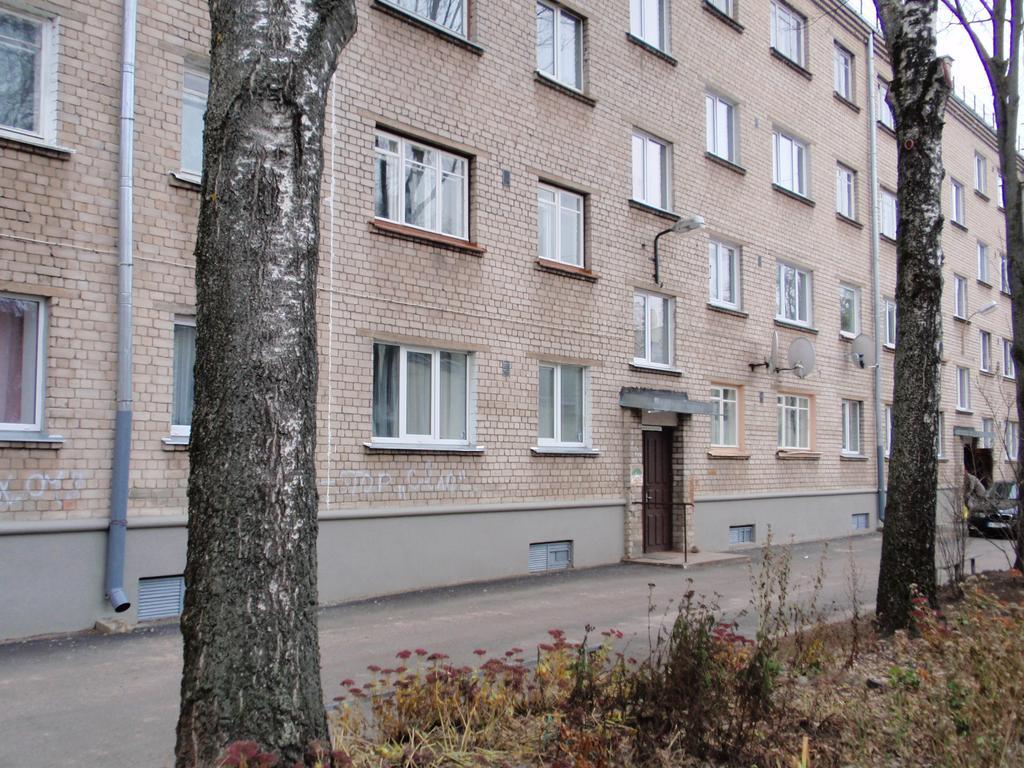 Central Cietoksna Street Apartment Daugavpils Dış mekan fotoğraf
